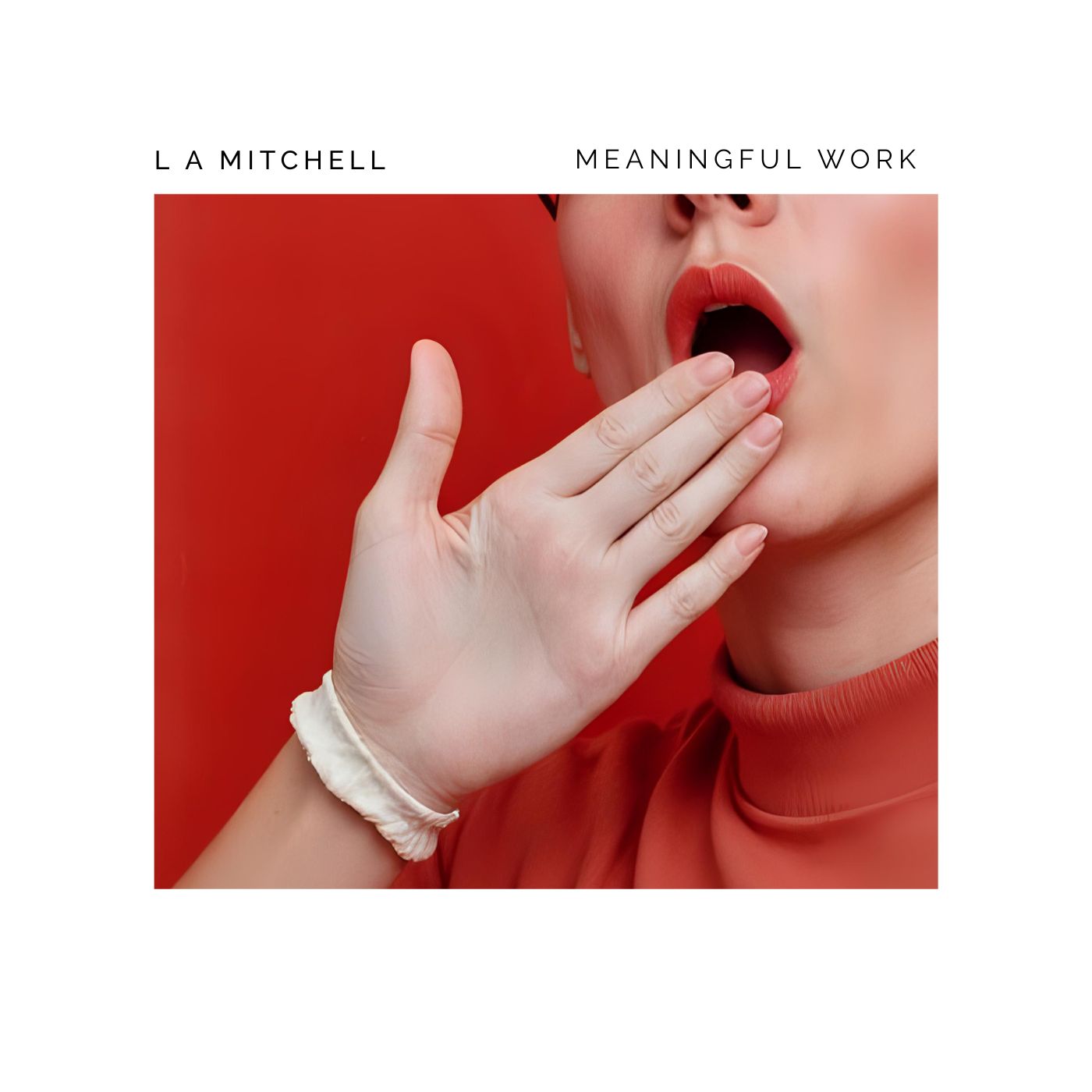 Album cover with a hand covering a mouth on a red background, featuring the text 'L A MITCHELL' and 'MEANINGFUL WORK'.