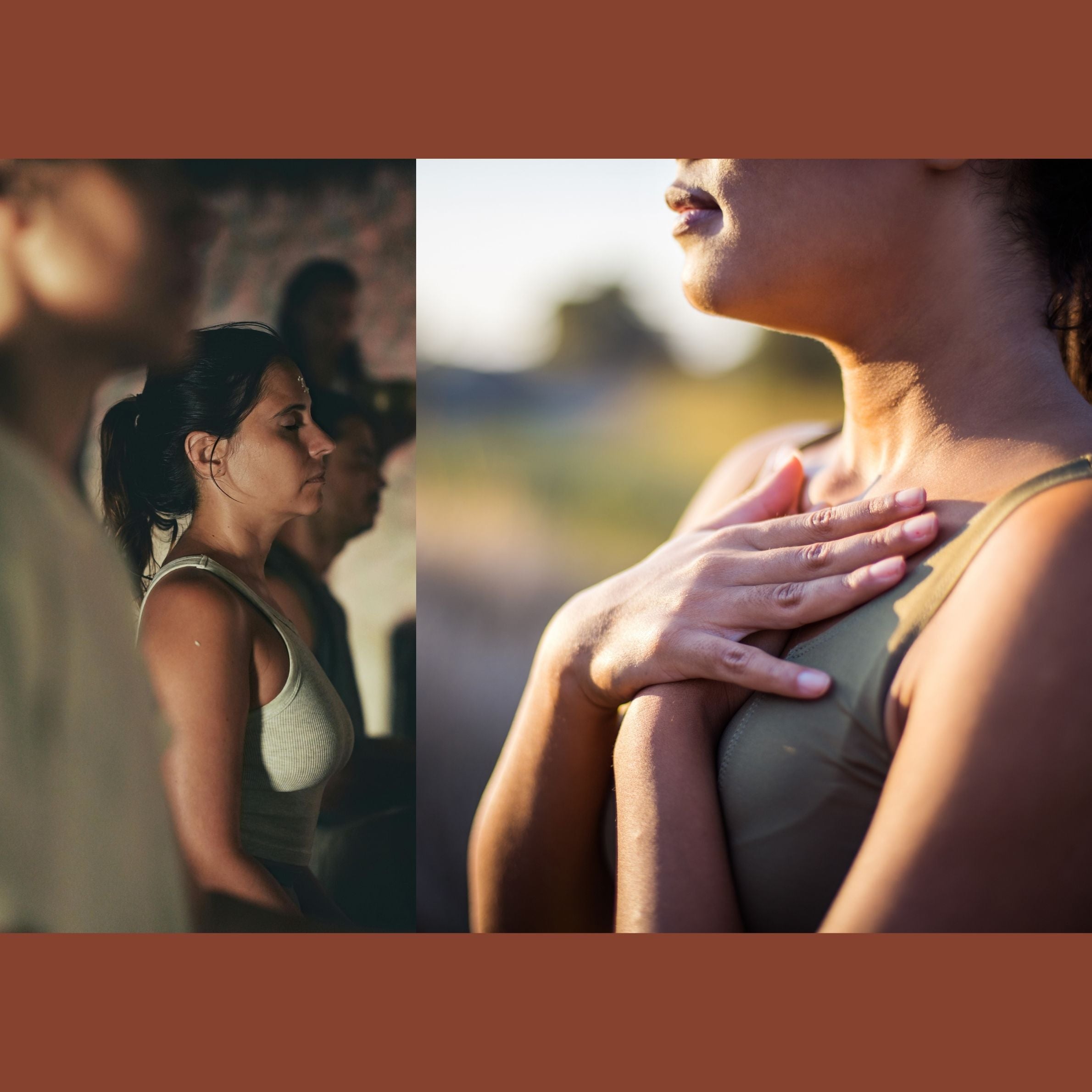 The Resilient Voice - Finding Your Voice Through  Hormonal  Change.